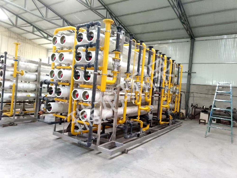 瑞龙环保工业纯水案例—定制反渗透机组